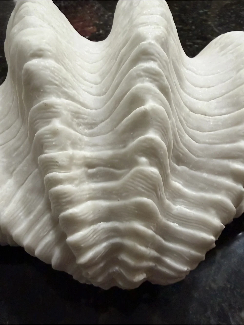 Sculptural White Giant Clam Shell Decorative Bowl Coastal Decor